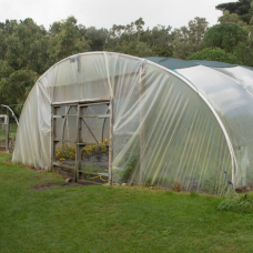 4 Year UV Resistant 8 mil Heavy Duty Clear Greenhouse Covering - Choose Your Size